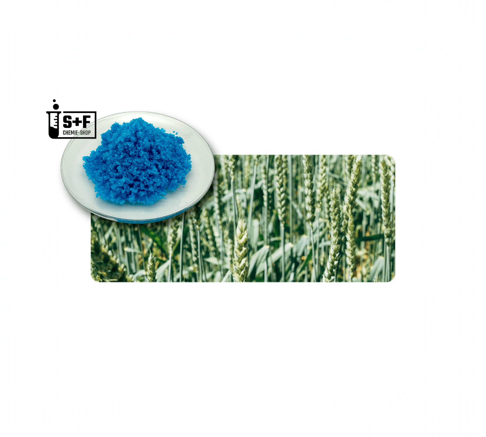 25kg - Kupfersulfat (CuSO₄ · 5H₂O) - S+F Chemie - Shop - Chemikalie